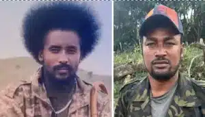 Gondar Fano