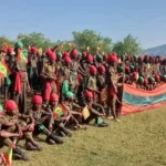 OLA Accuses Ethiopian Govt of Forming Fake Opposition Party
