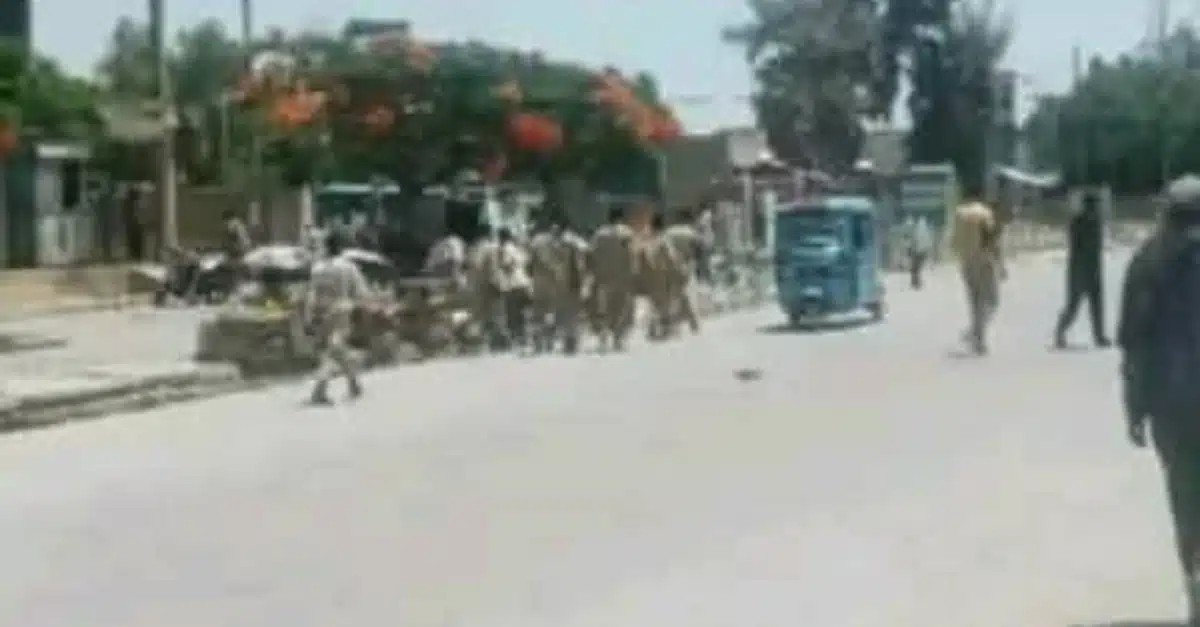 Tigray Forces