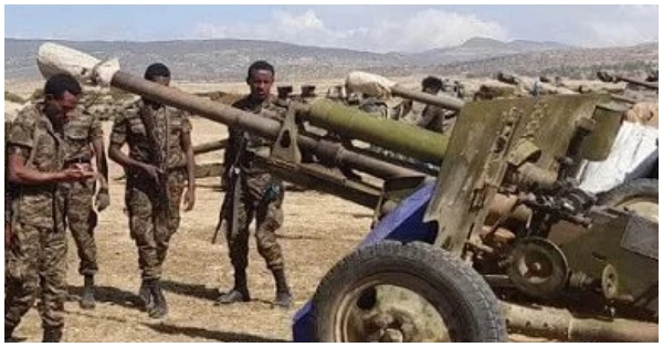 TPLF Eritrea