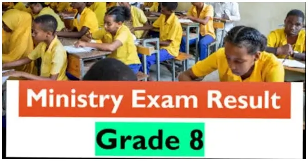 Check Grade 8 Exam Result Addis Ababa