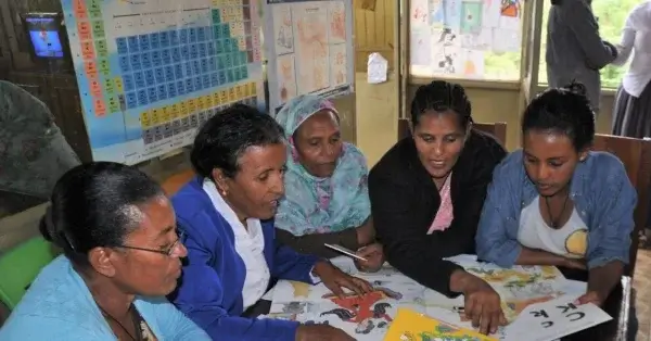 The Ministry of Education has selected 8 universities for Ethiopian summer teacher training programs.