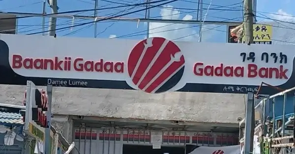 Gadaa Bank Profit 2025/26