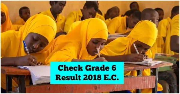 Somali region grade 6 exam result 2018/2026